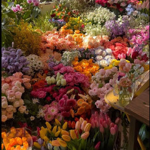 Meet your Posher, Elia